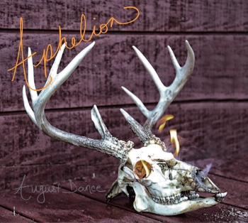 August Dance Album Cover